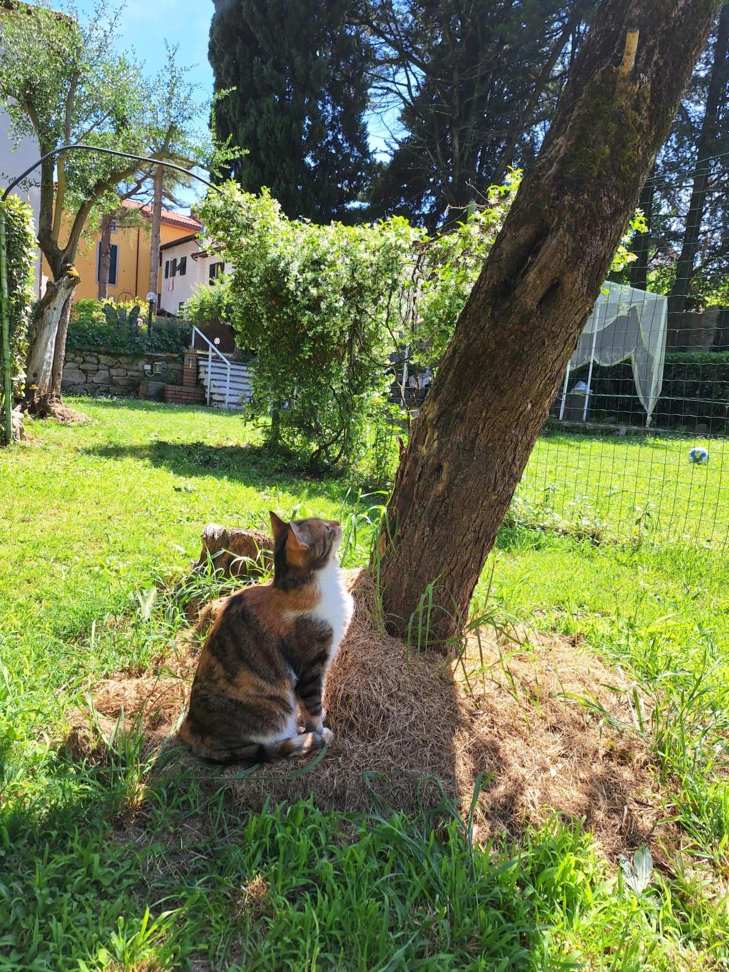 فندق Mama' Castell'Anselmo المظهر الخارجي الصورة